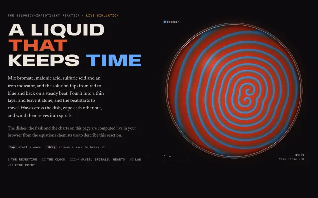 Belousov's Clock: The Belousov–Zhabotinsky reaction, run live from the Oregonator equations: a chemical clock, waves you tap and cut into spirals, and spirals in the heart.